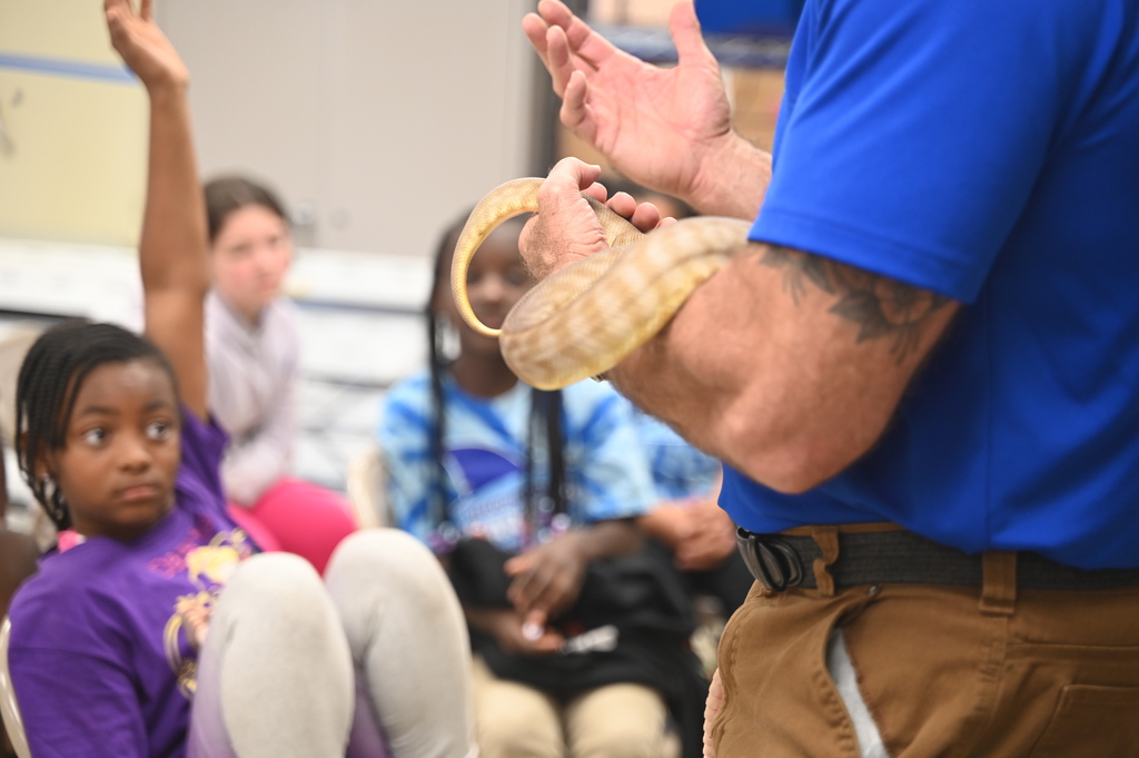 A person with a tattoo holds a snake in front of a seated student raising a hand.