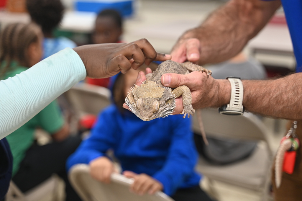 Adult holds a reptile in both hands, and a child reaches out to touch the reptile.