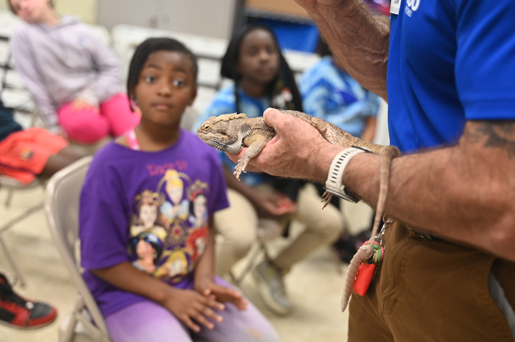 Adult holds reptile in hand while seated child in purple shirt watches. Other children and adults in room.