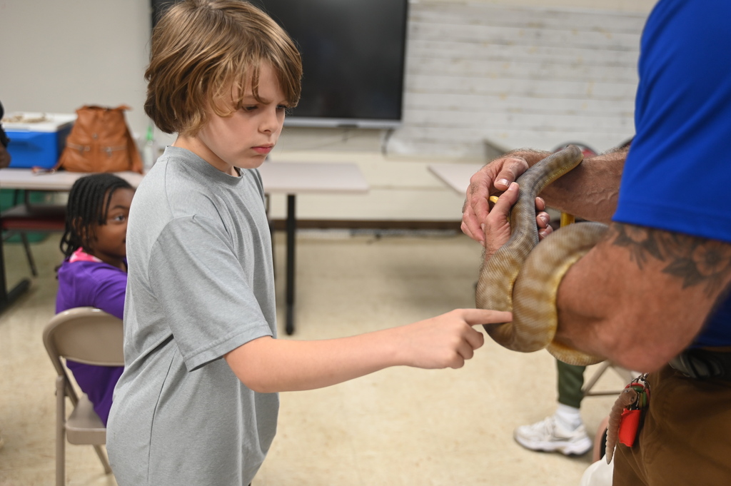 A young boy in a gray shirt pointing at a snake held by an adult. Behind, a girl in purple sits at a table.