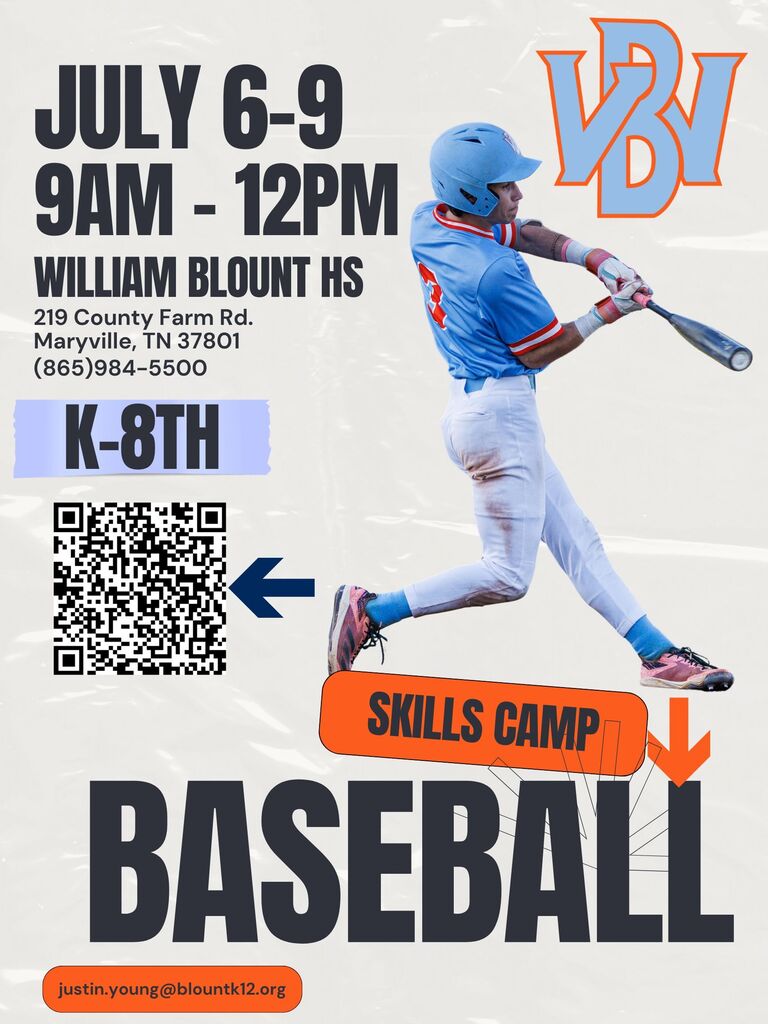 Baseball Skills Camp