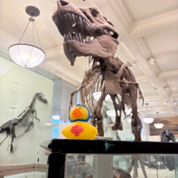 Duck with t-Rex