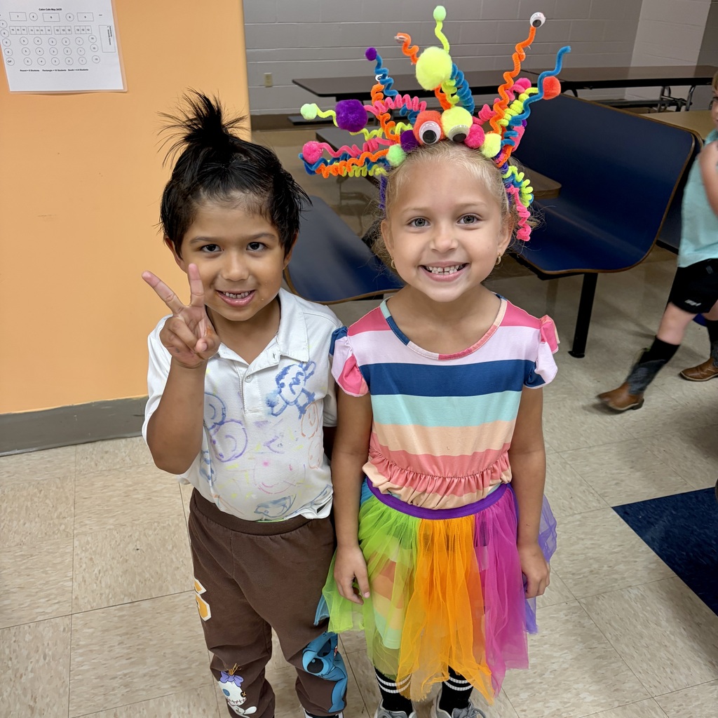 Wacky Day Pair