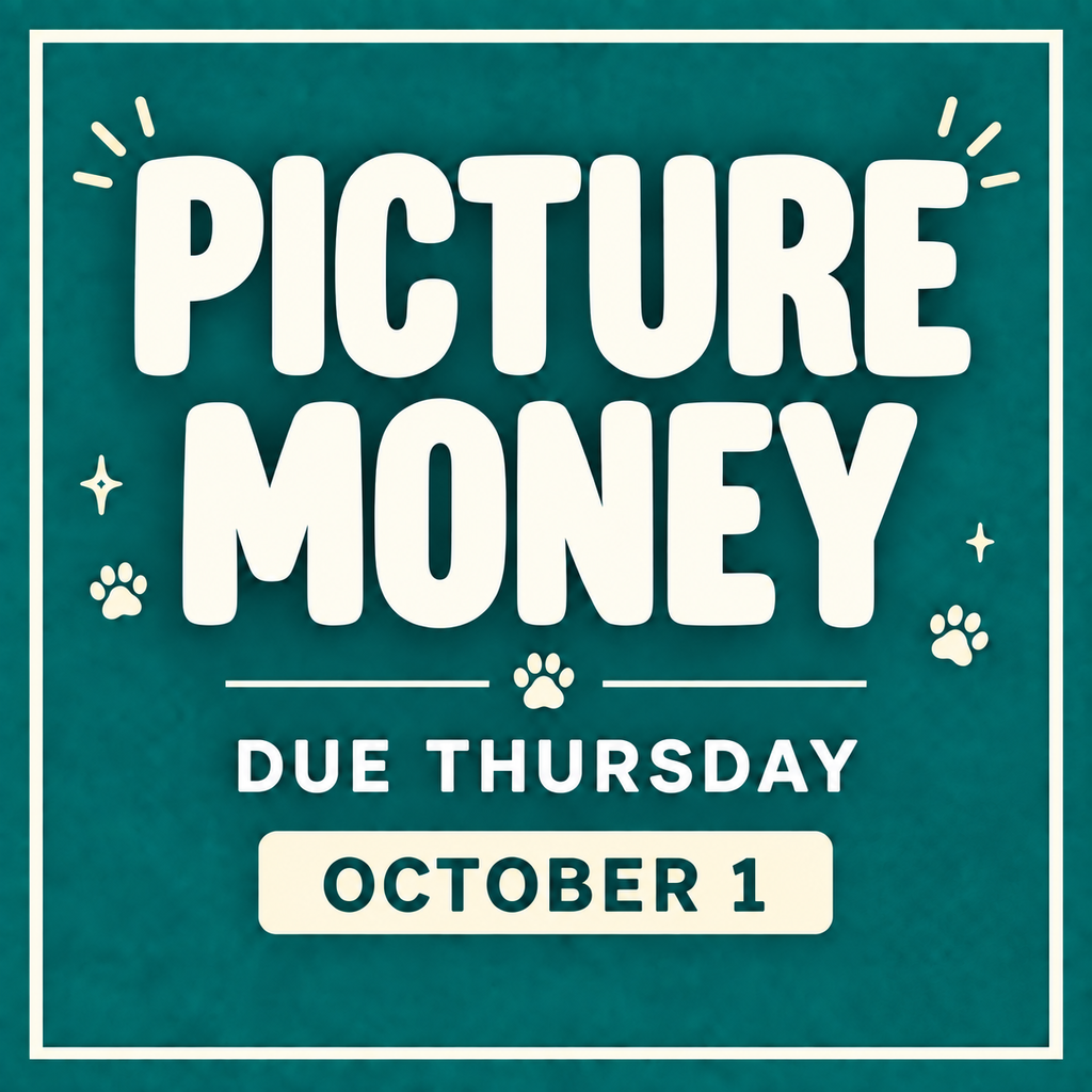 Picture Money