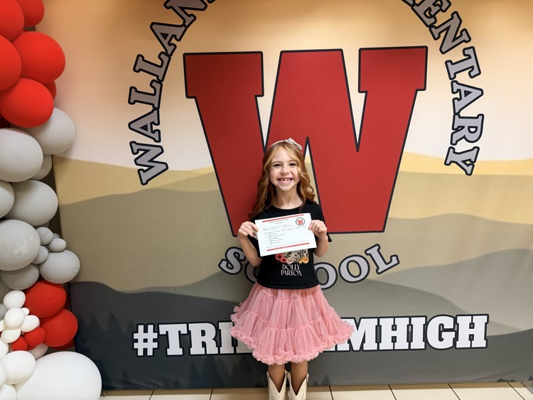 Tribe Awards