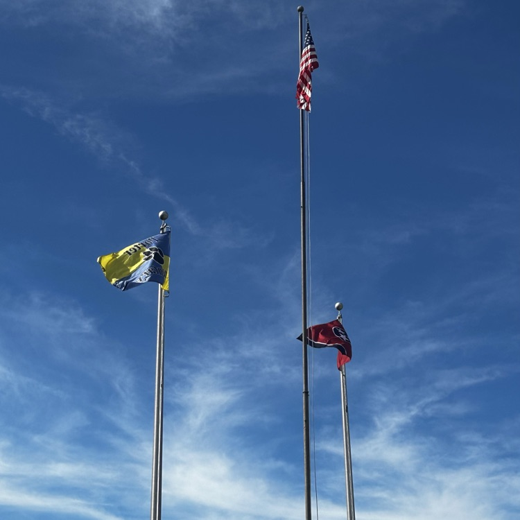 flags