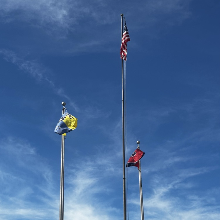 flags2