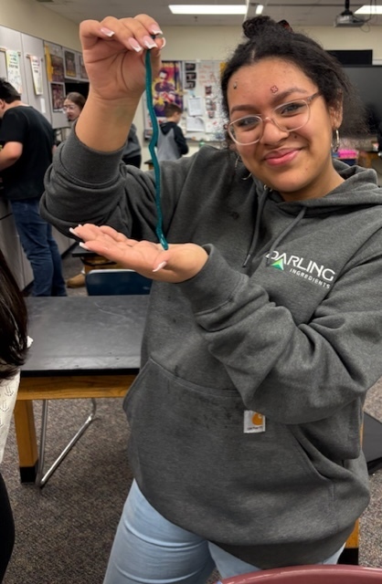 STEM class