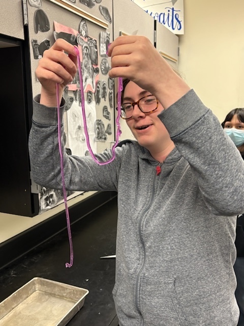 STEM class