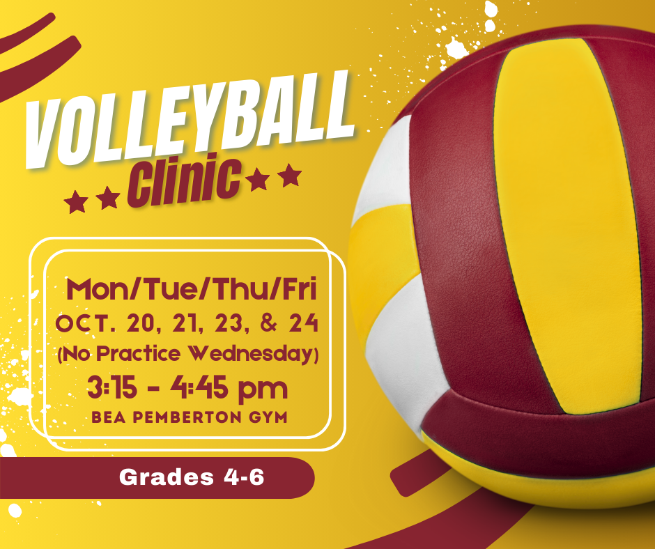 Volleyball Clinic