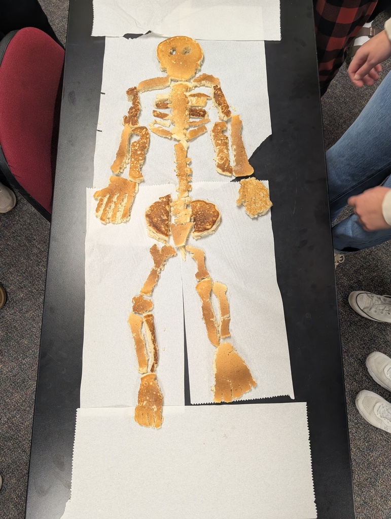 Anatomy class