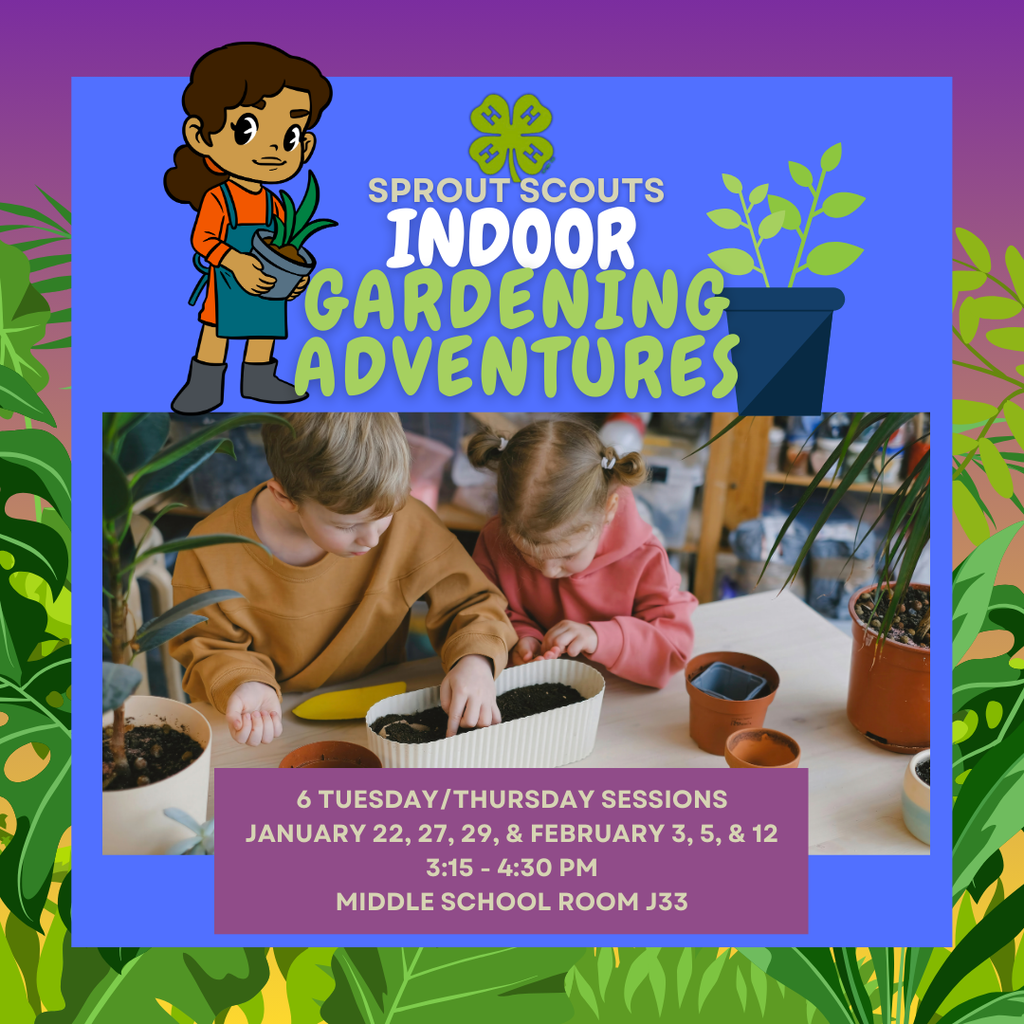 Indoor Gardening Adventures