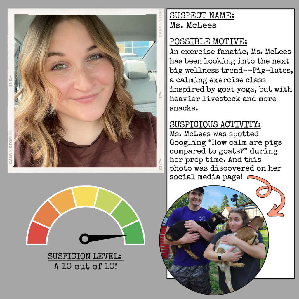 Buc Detective Agency