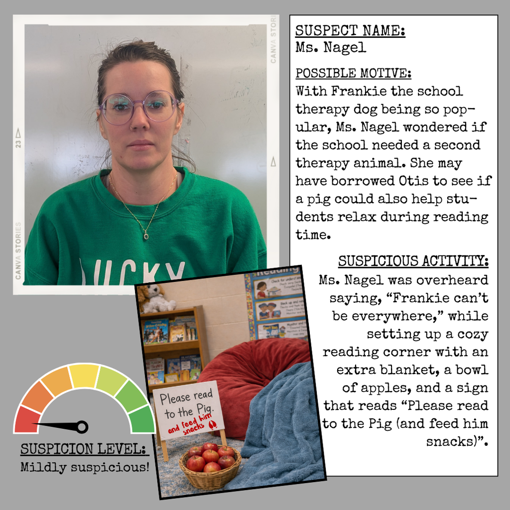 Buc Detective Agency