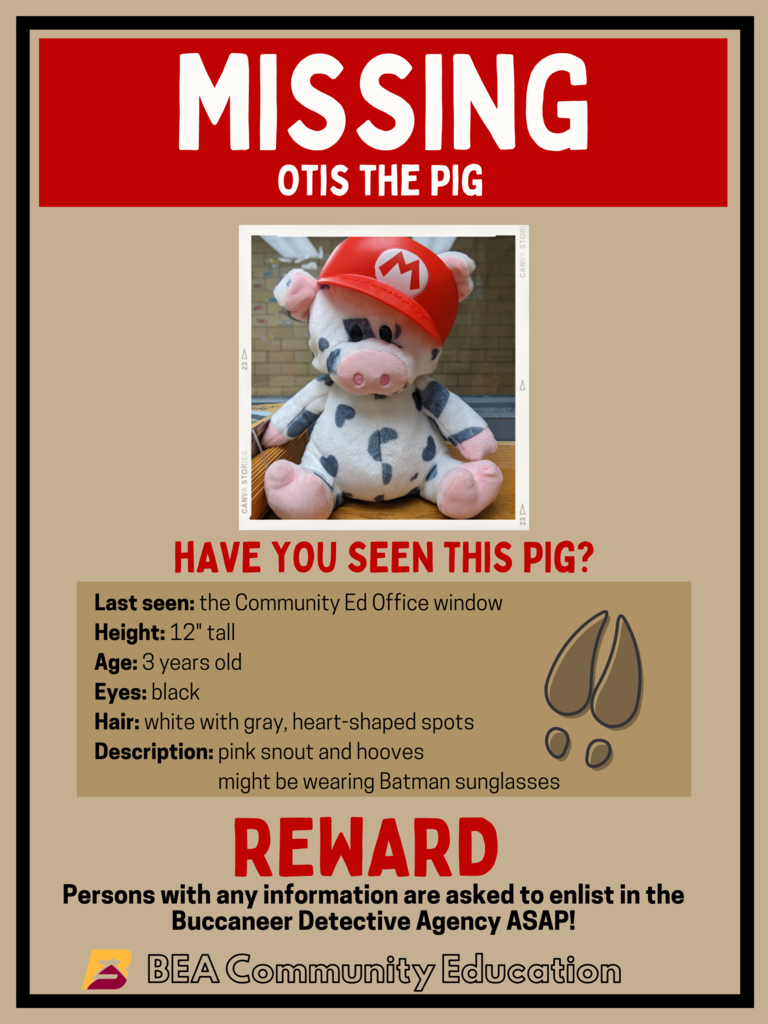 Buc Detective Agency