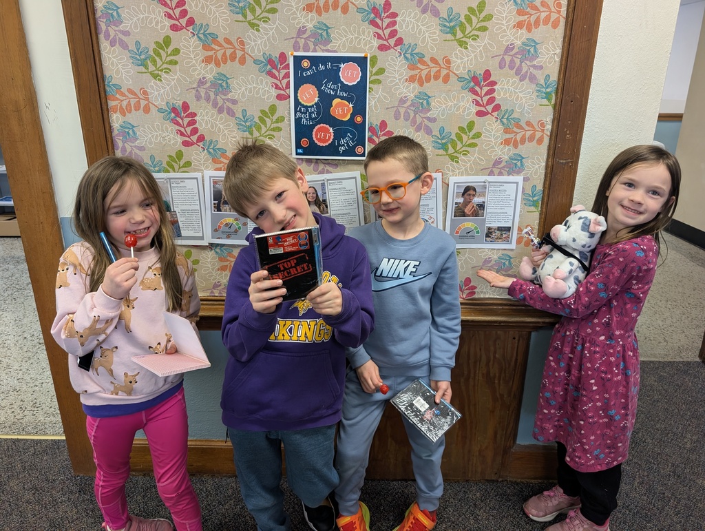 Buc Detective Agency