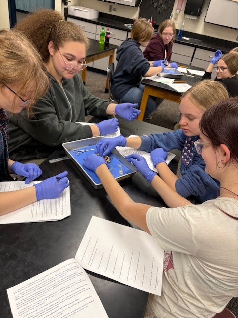 Plants  & Animals Class