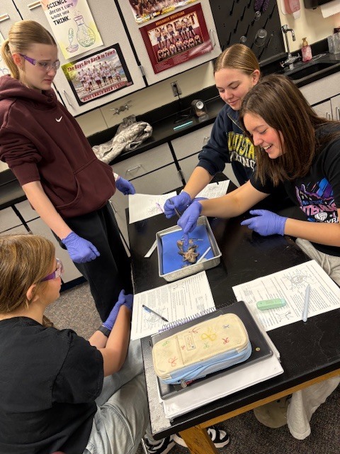 Plants  & Animals Class