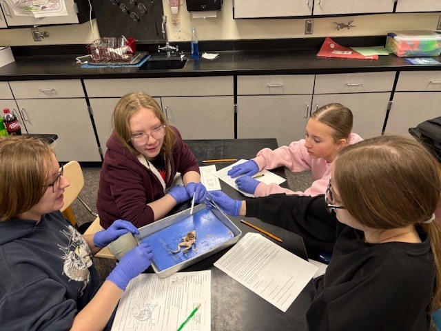 Plants  & Animals Class