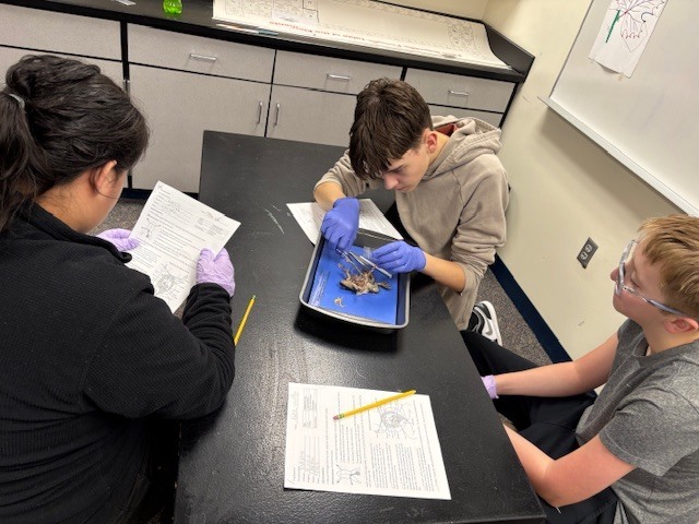 Plants  & Animals Class