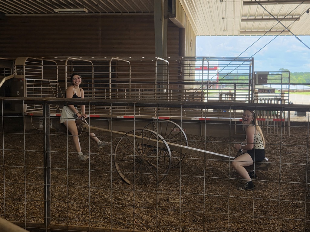 Two girls on and old seesaw.