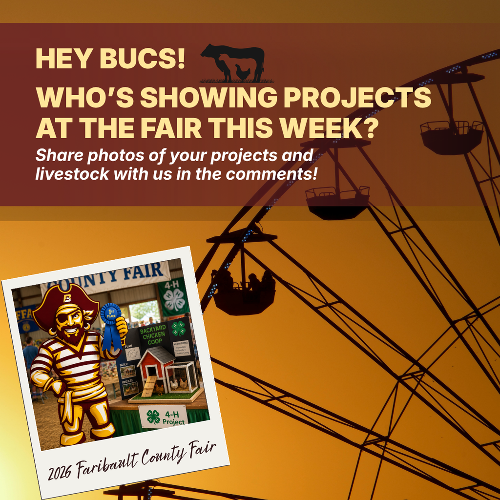 County Fair Projects