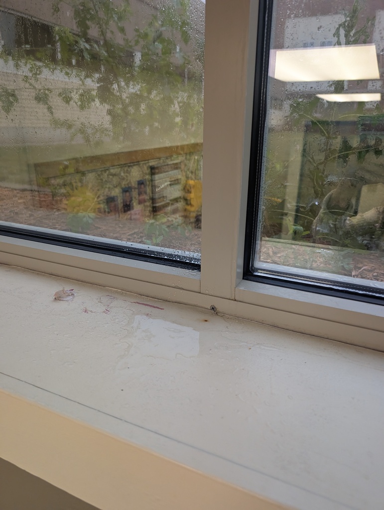 Building Leaks