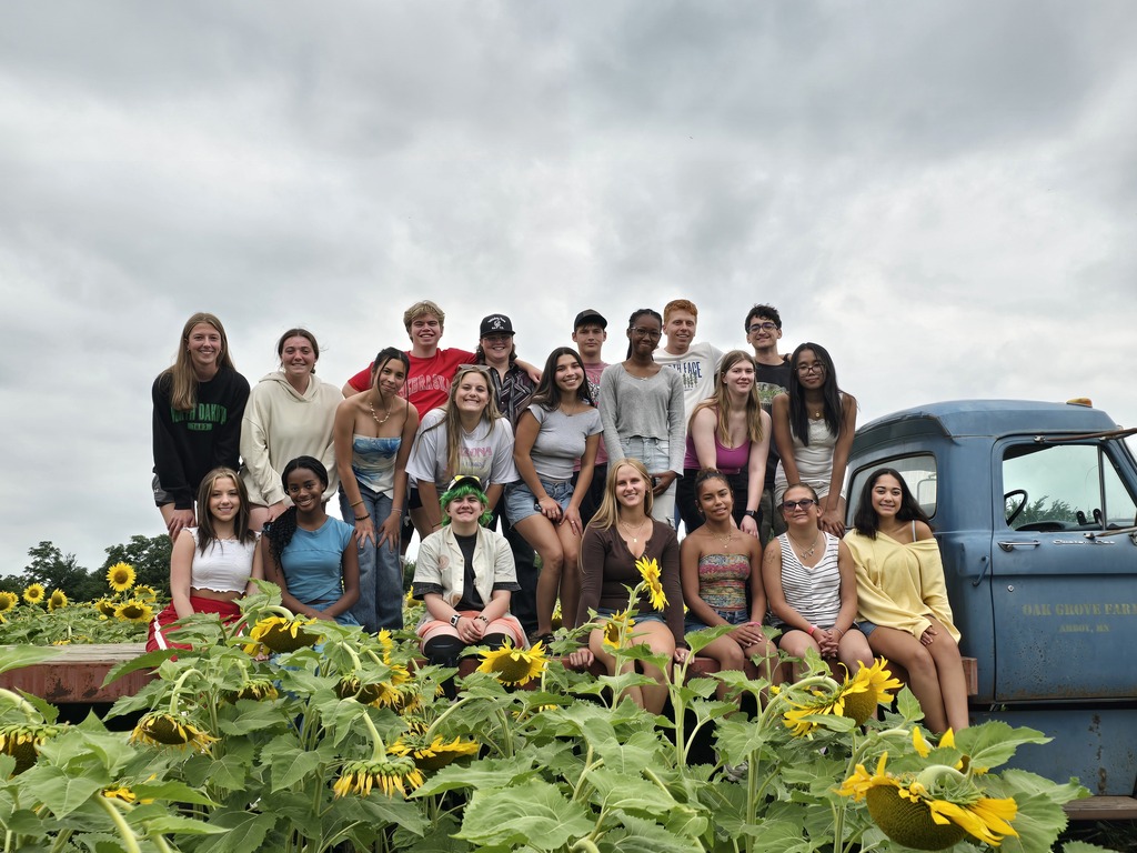 The AEP students in a sunflower field