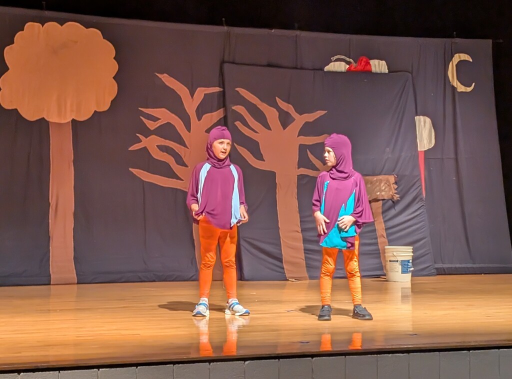 Summer Theater Camp