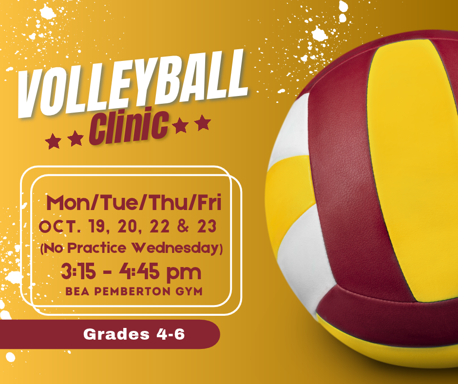 Volleyball Clinic