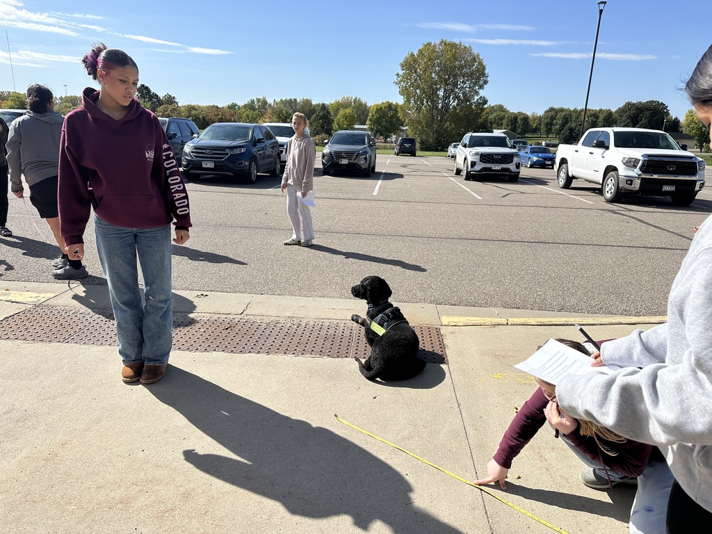 One student standing and another measuring her shadow