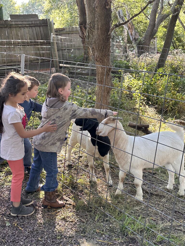 Students petting some goats