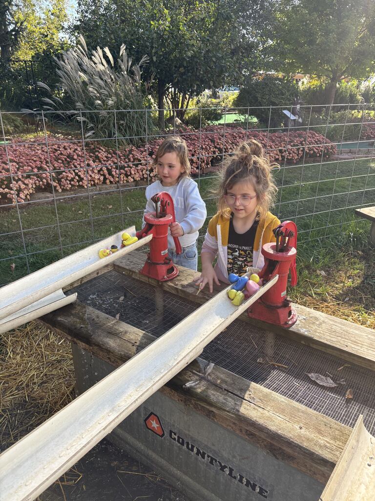 Two students racing ducks