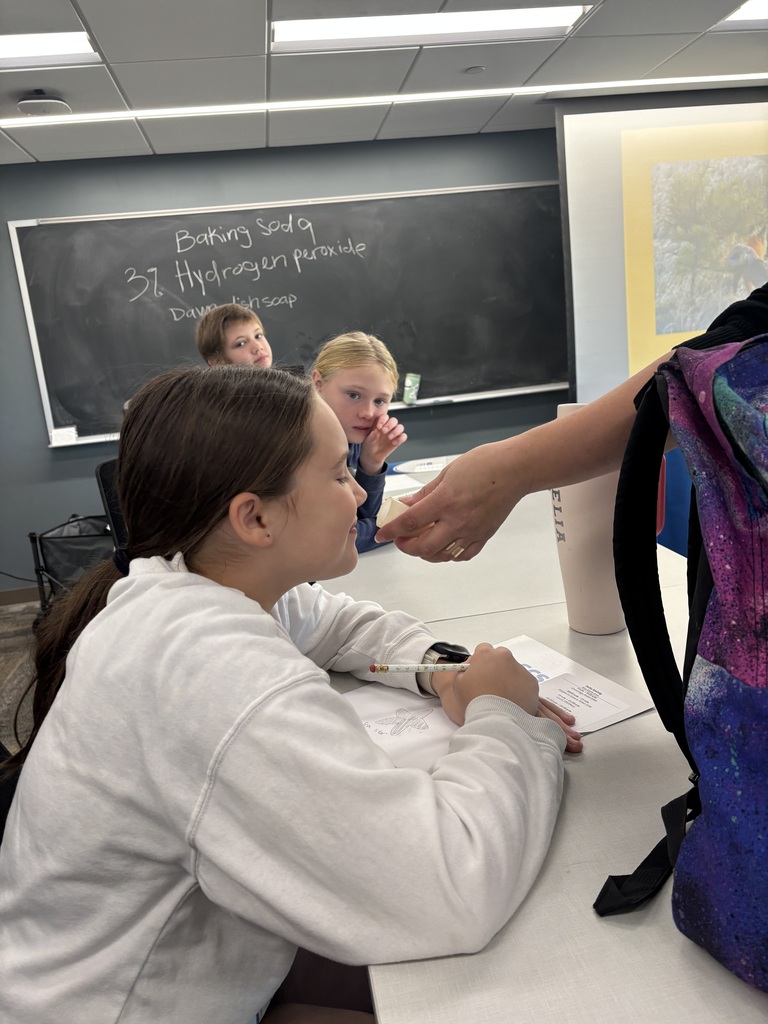 students smelling different substances