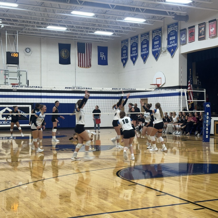 lady bobcats