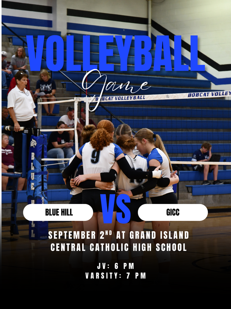 Volleyball Poster
