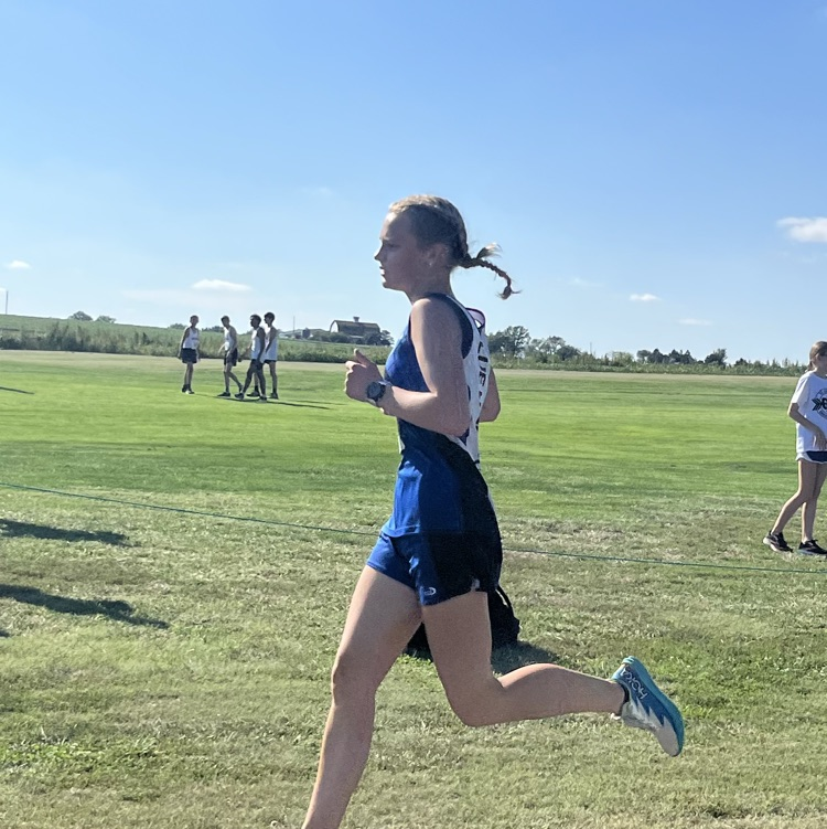 runner 
