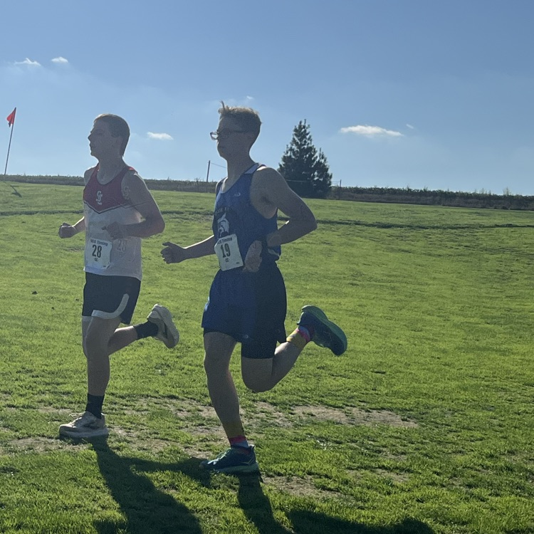 runner 
