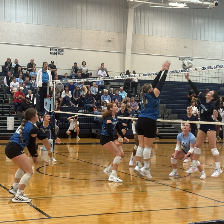 Lady Bobcats 