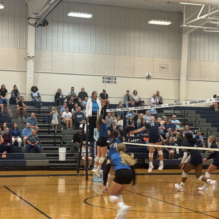 Lady Bobcats 