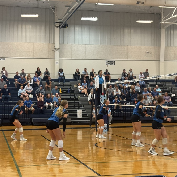 lady bobcats 