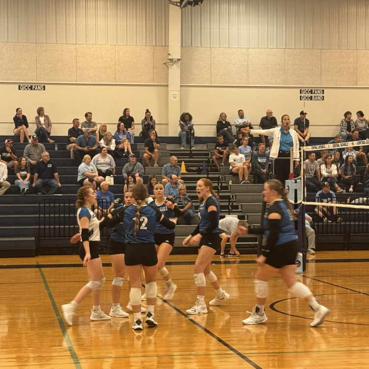 lady bobcats 