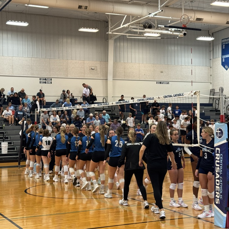 lady bobcats 