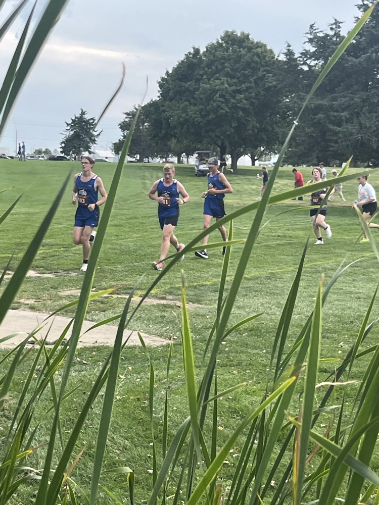 xc