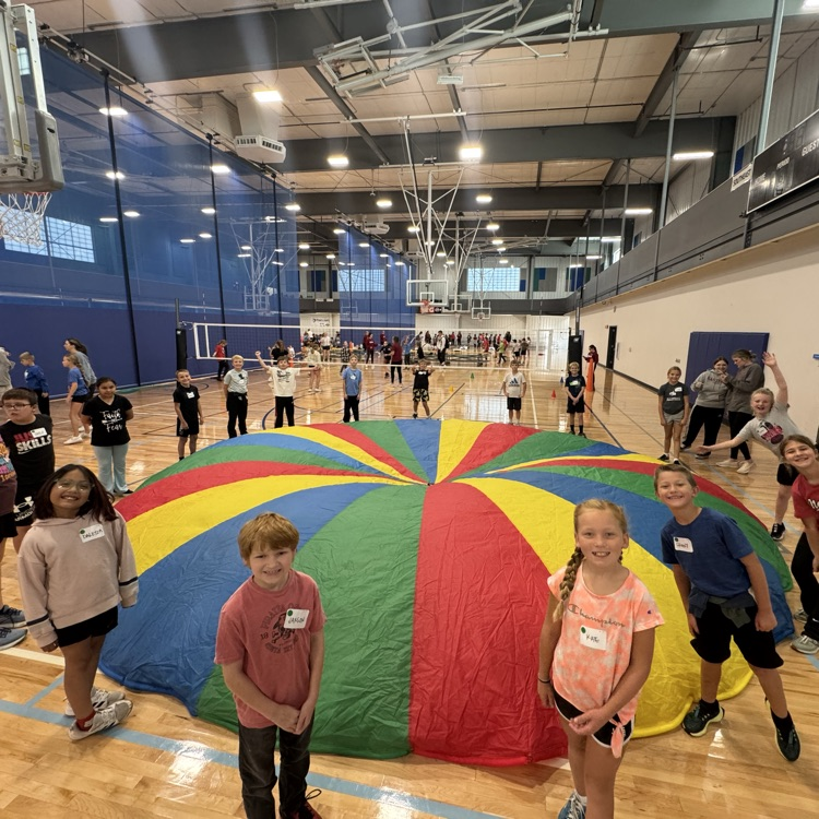 oldie but goodie. the parachute 