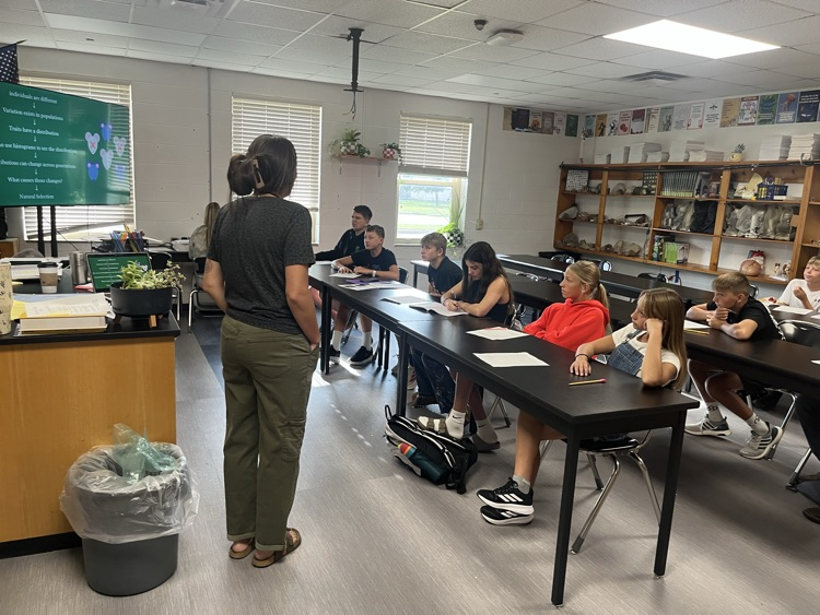 teaching