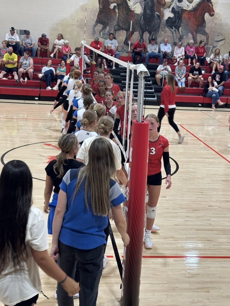 took down the Cougars