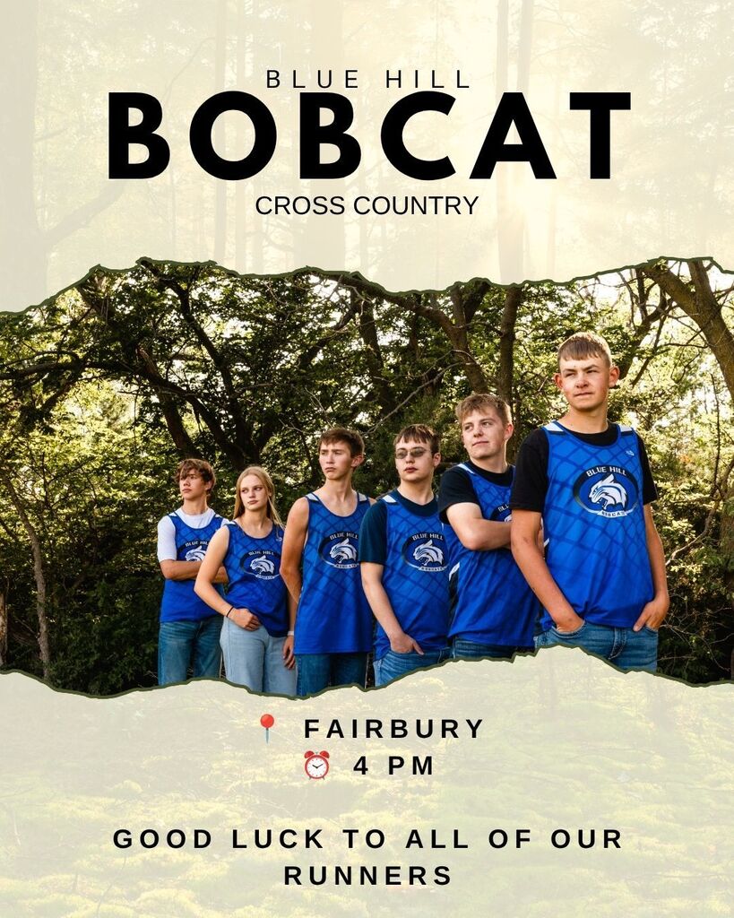 Bobcat XC