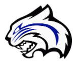 bobcat