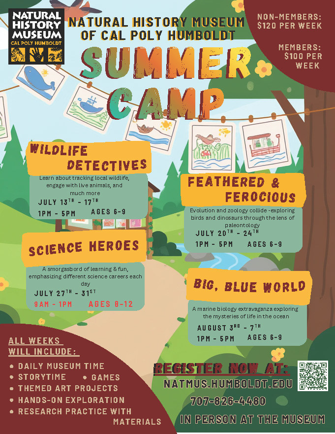 Summer Camp